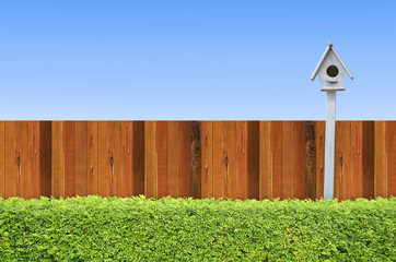 shrubs and wooden fence with birdhouse