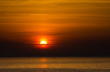 Seagul and a fishing boat far away on the sea at sunrise
