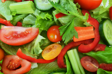salad with vegetable