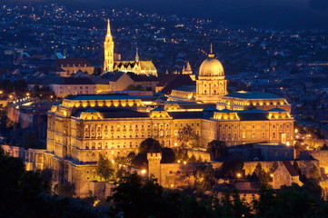 Fototapeta na wymiar Zamek w Budapeszcie