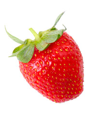 Fresh strawberry