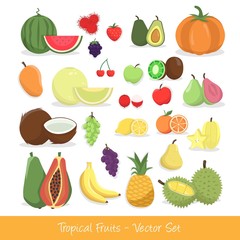 Tropical Fruit Vector Set - 52784961