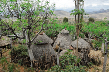 Fototapeta premium Thatched roof huts of the Konso people (Ethiopia)