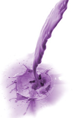 Fototapeta premium blueberry drink