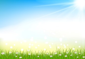 grass background with grass and light effects