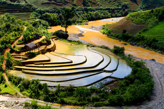 terraced rice fields with water in Mu Cang Chai
