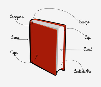 Partes de un libro