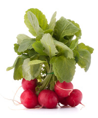 Small garden radish with leaves