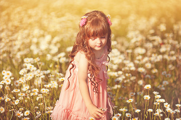 Cute child girl at camomile field