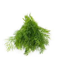 fresh dill