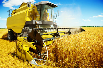 an yellow harvester in work