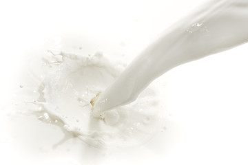 pouring milk splash, top view