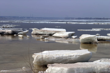 spring break © salman2