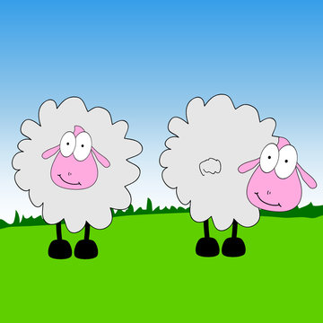 sheep cartoon on a grass vector illustration