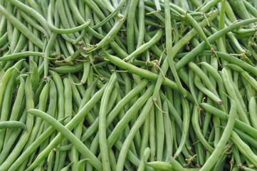 Common bean