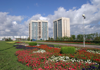 Blossoming colorful flowerbeds in summer city
