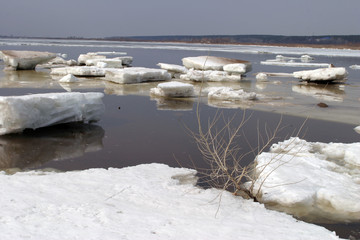 spring break © salman2