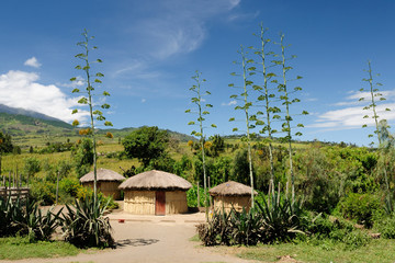 Africa village