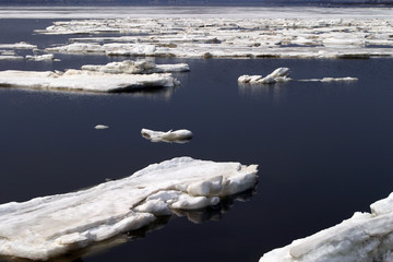 spring break © salman2