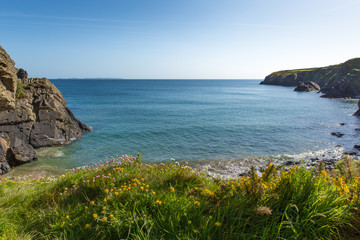 Caerfai Bay Pembrokeshire Wales UK