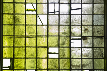 tiles background in green