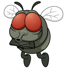 Vector illustration of cartoon fly