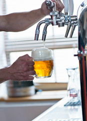 beer on tap