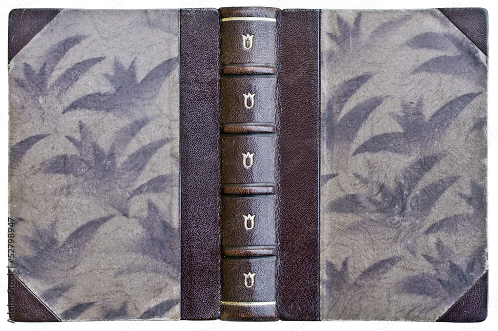 Wall mural Old open book cover with leather spine and paper boards