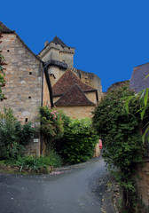 Fototapeta na wymiar Château de Castelnaud (Dordogne)