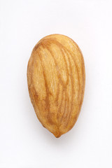 almond isolated on a white background