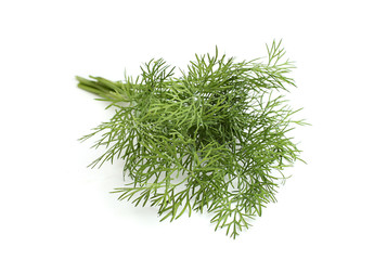 Fresh dill.