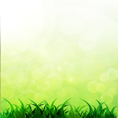Fototapeta na wymiar Green Background With Green Grass