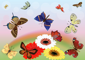 Abstract meadow with colorful butterflies