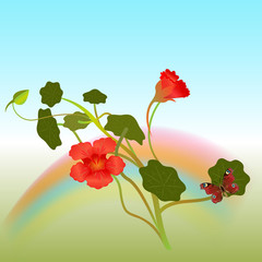 Indian cross flowers with butterfly vector illustration