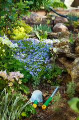 Gardening tools near phlox subulate