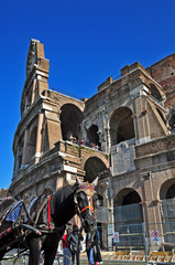 Roma il Colosseo