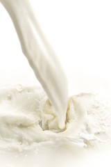milk splash