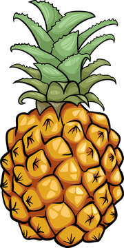 Pineapple Clip Art Images – Browse 9,342 Stock Photos, Vectors, and Video |  Adobe Stock