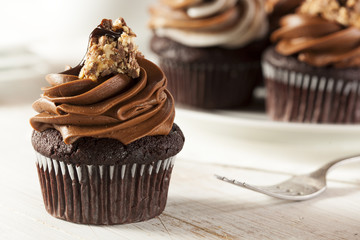 Homemade Chocolate Cupcake with chocolate frosting