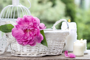 Single pink peony flower in white wicker basket on rustic wooden