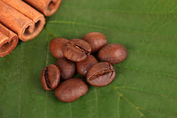 Coffee grains and cinnamon on sackcloth on green leafs close-up