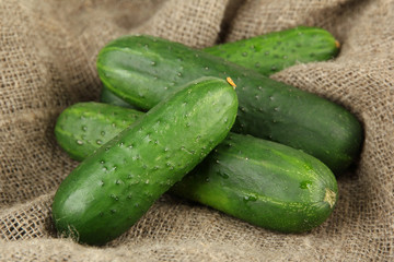 Tasty green cucumbers on sackcloth background
