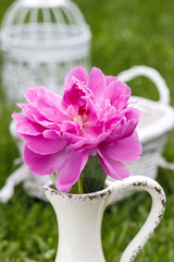 Single pink peony flower in white ceramic vase on fresh green la