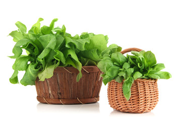 Fototapeta premium Fresh herbs in baskets isolated on white