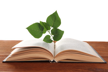 Book with plant on table on white background