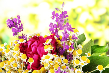 Bouquet of wild flowers, on bright background