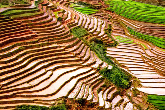 Rice Terraces in Northern of Vietnam