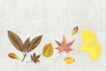 落ち葉のアレンジメント