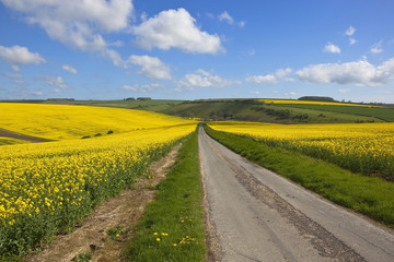 country highway