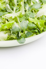 Green vegetables on a white background.